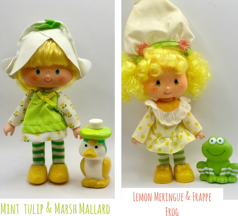 Vintage 1980s Strawberry Shortcake Full Set with Pets β Kenner Dolls Lot β Huckleberry, Blueberry, Cafe Ole + More β Rare HTF