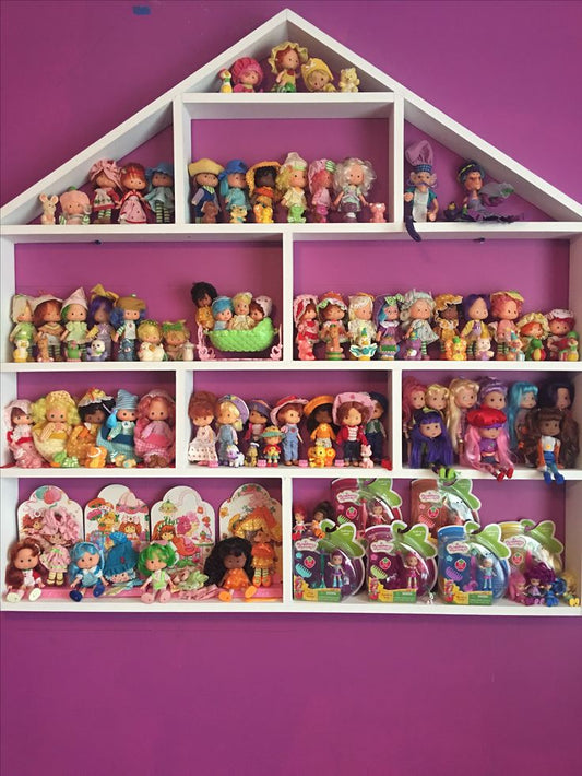 Vintage 1980s Strawberry Shortcake Full Set with Pets – Kenner Dolls Lot – Huckleberry, Blueberry, Cafe Ole + More – Rare HTF